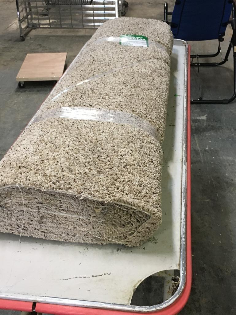 New Carpet Remnant Roll: 17ft x 5ft Brown