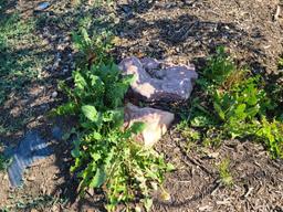 2 Larger Landscaping Boulders Approx. 48in & 1 Semi-Buried Boulder (By Sign)