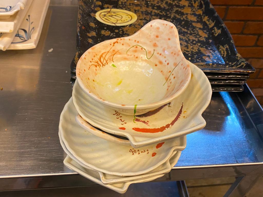 Japanese / Sushi Plates, Some Chipped