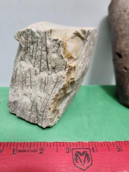 Petrified wood - see picture and possible fossilized tusk - see pictures