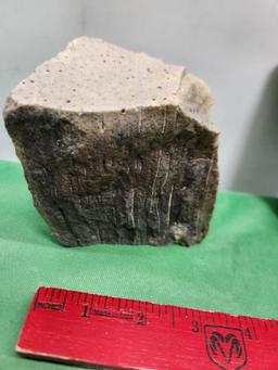 Petrified wood - see picture and possible fossilized tusk - see pictures