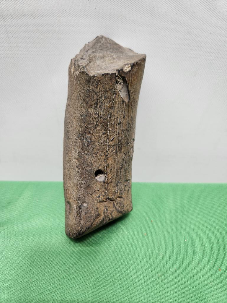 Petrified wood - see picture and possible fossilized tusk - see pictures