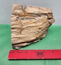 Petrified wood