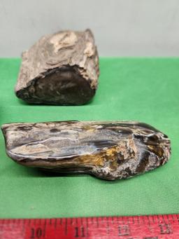 Four pieces of petrified wood