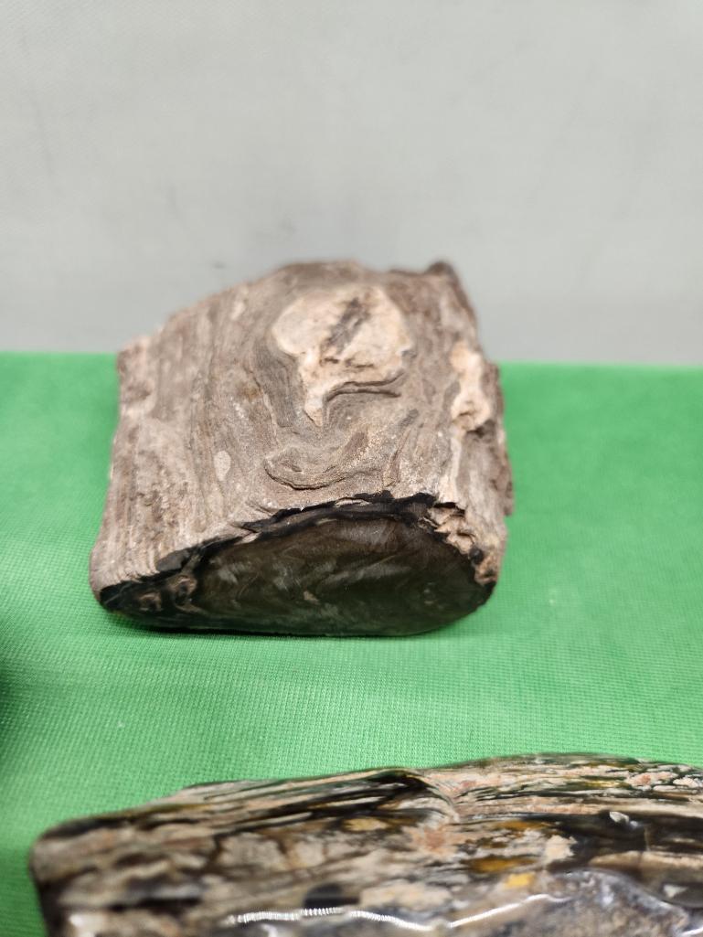 Four pieces of petrified wood