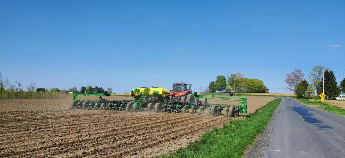 A Day at Lincoln Dairy: Choose between a day of hay or corn silage...harvest in...addition...to a da