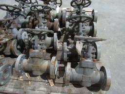 (Qty - 13) 2'' Gate Valves-