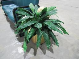 Waiting Room Chair and Fake Plants-