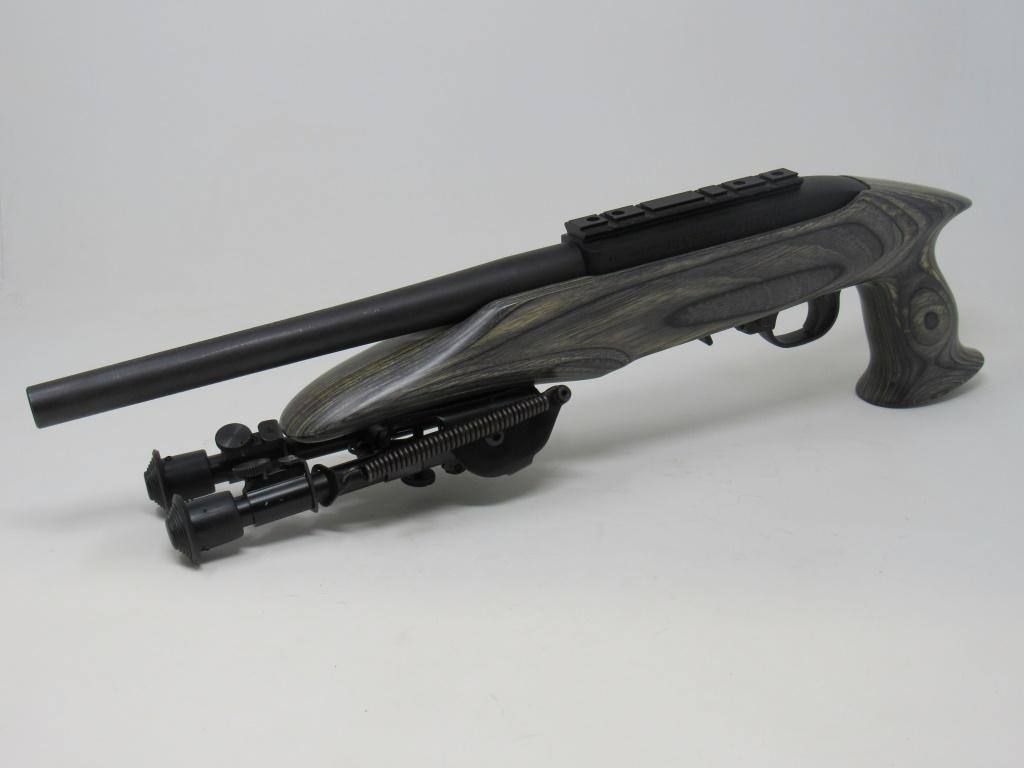 Ruger 22 Charger .22-