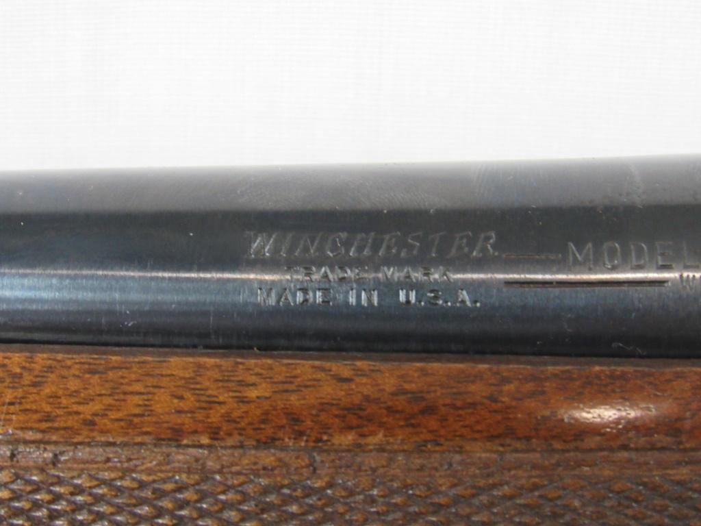 Winchester Model 50 12GA-