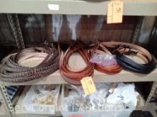 Lot on Shelf of Approximately 64 Belts & a Bag of Various Buckles: Wildebeest, Horn Back Alligator,