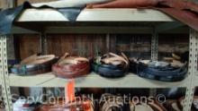 Lot on Shelf of Approximately 73 Belts & a Bag of Various Buckles: Alligator - With tapered ends