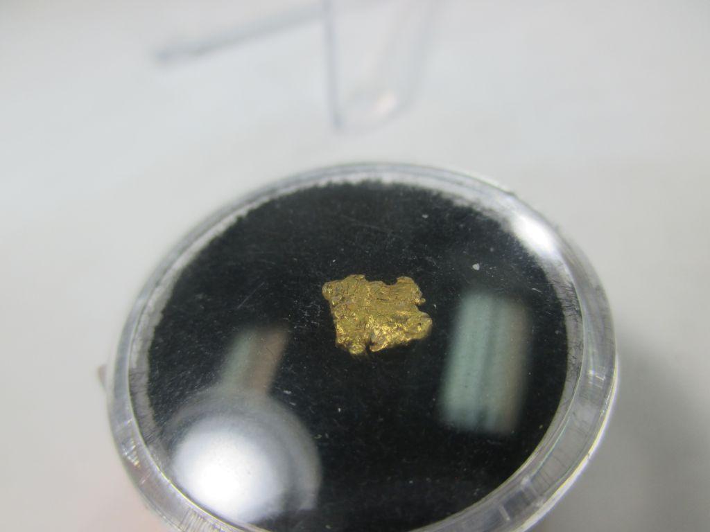 g-45 .3 gram Chunky Solid Gold Nugget