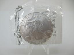 t-11 2004 American Silver Eagle