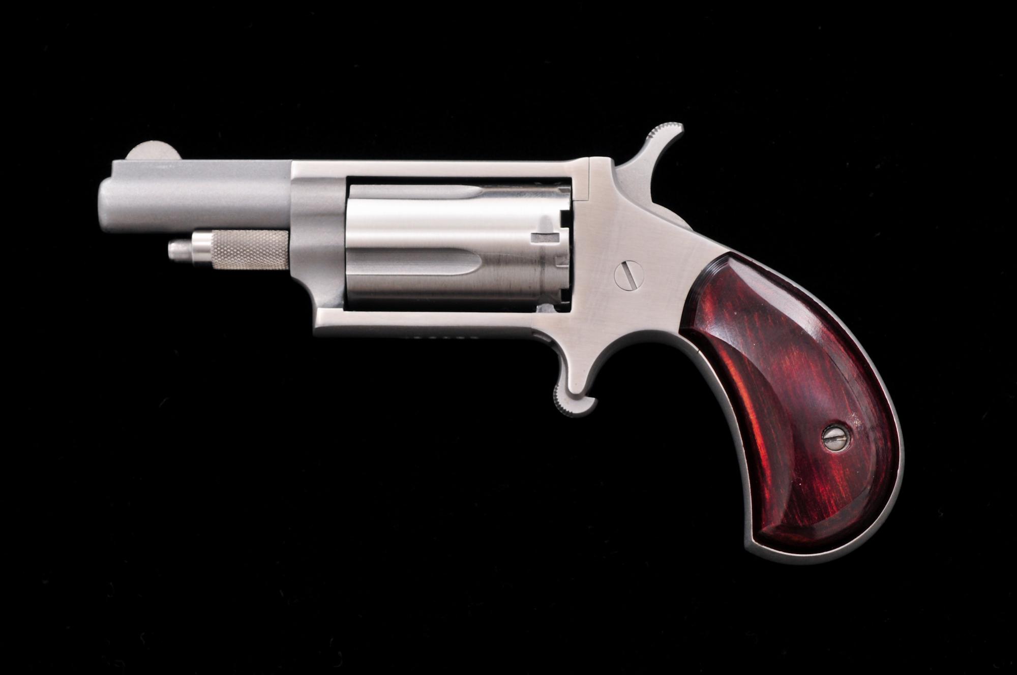 No. Am. Arms NAA-22M Spurtrigger Revolver