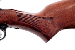 Glenfield Model 60 Semi-Automatic Rifle