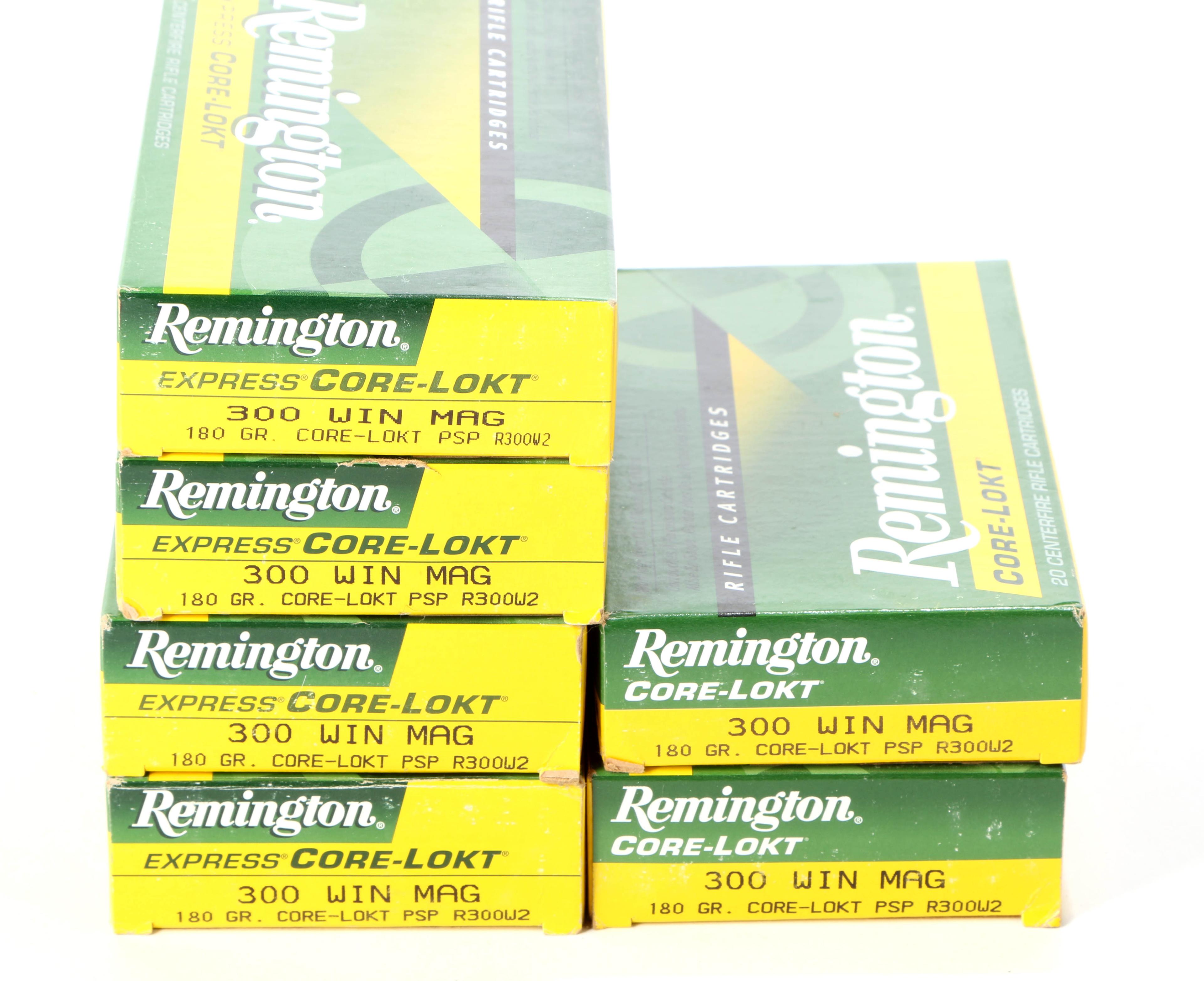 120 Rounds Remington 300 Win. Mag.