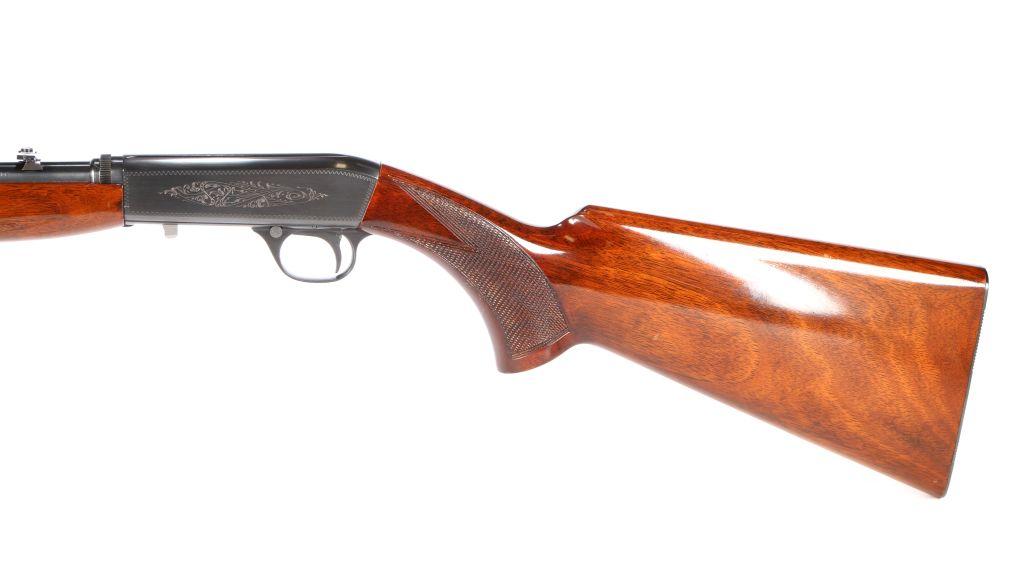 Browning BAR in .22 Auto, .22 Long Rifle