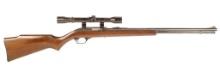 Marlin 60 in .22 LR