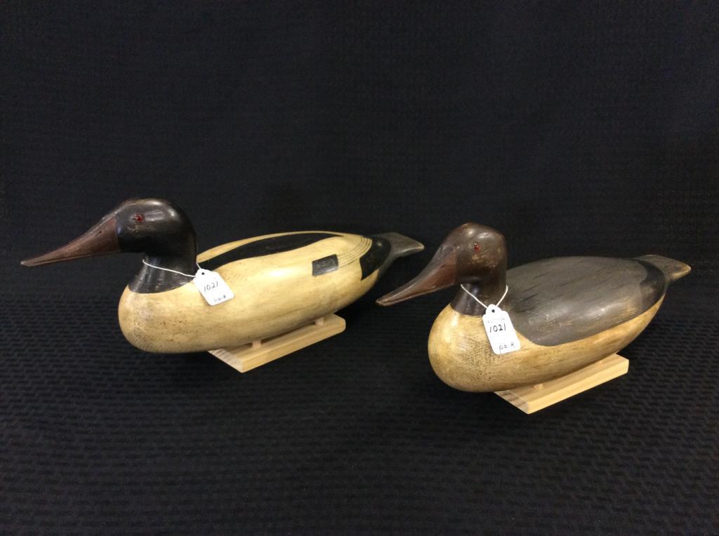 Pair of Mergansers-Copy of Schoenheider