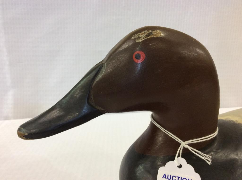 Madison Mitchell Canvasback Decoy (3)