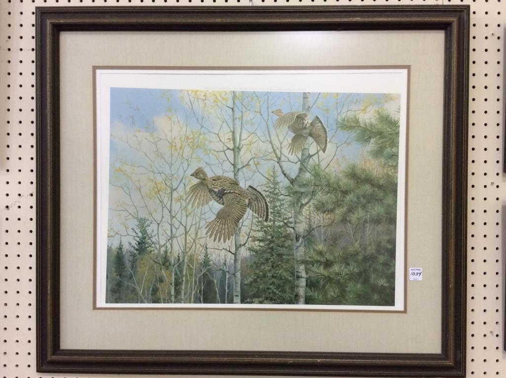 Lg. Framed Grouse Print-1969