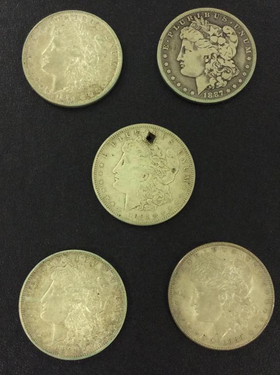 Collection of 5 Morgan Silver Dollars