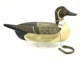 Tom Chiado Pintail Drake (45)