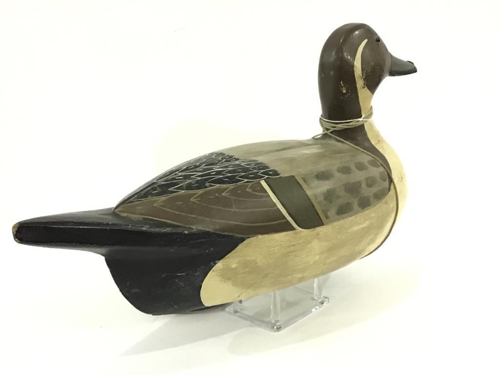 Tom Chiado Pintail Drake (45)