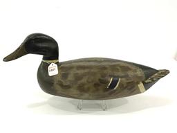 Early 1930's Heck Whittington Mallard Drake