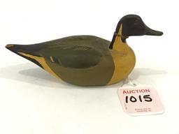 Miniature Pintail  by Koehler Bros.