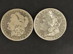 Collection of 8 Morgan Silver Dollars