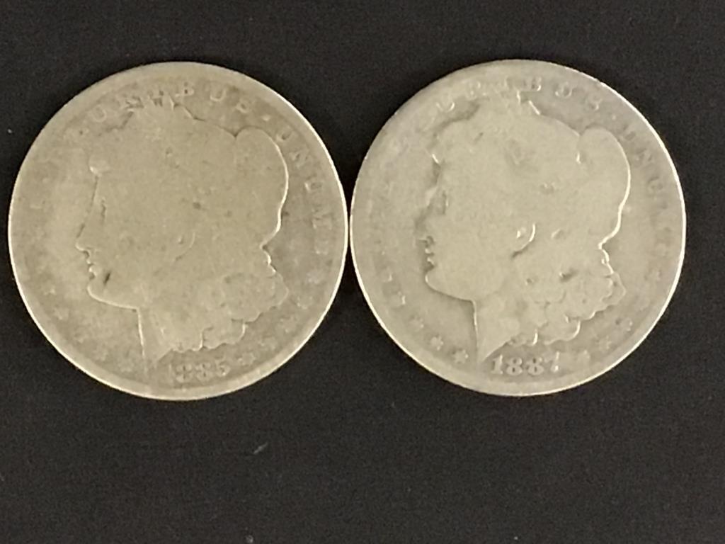 Collection of 8 Morgan Silver Dollars