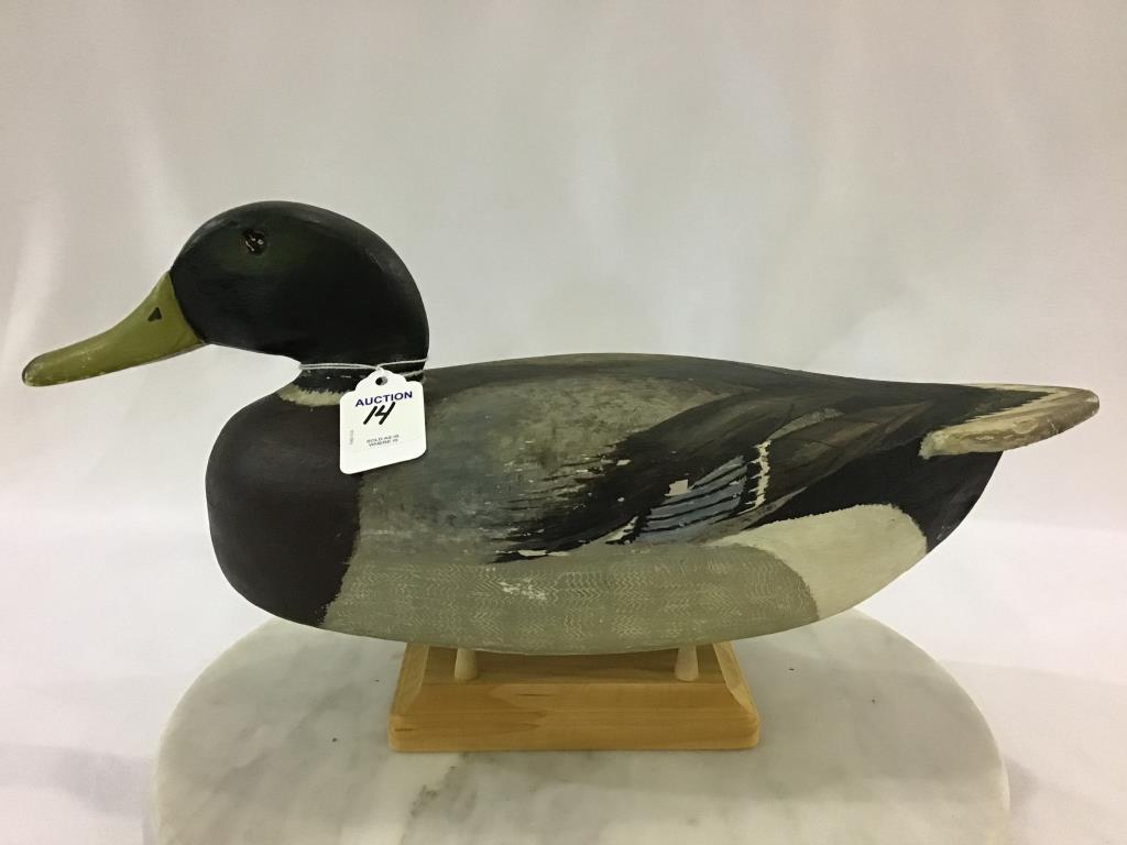 Newt Rule Mallard Decoy