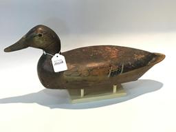 Bert Graves Hen Mallard