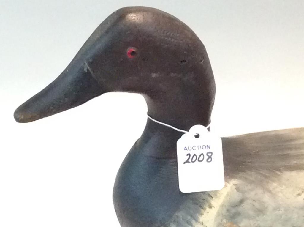 Bert Graves Canvasback Drake