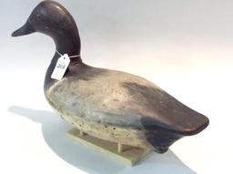 Bert Graves Canvasback Drake