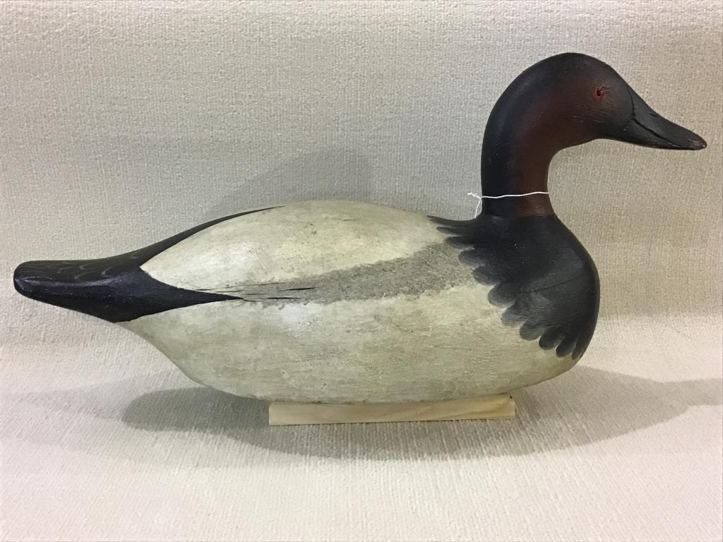 Large Mason Canvas Back Decoy (65)