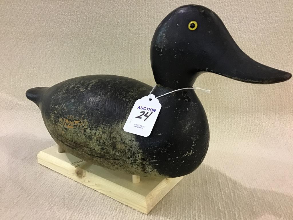 Evans Standard Blue Bill Drake Decoy (559)