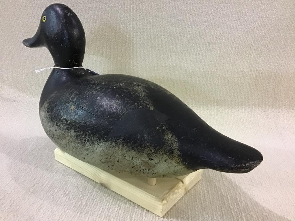 Evans Standard Blue Bill Drake Decoy (559)