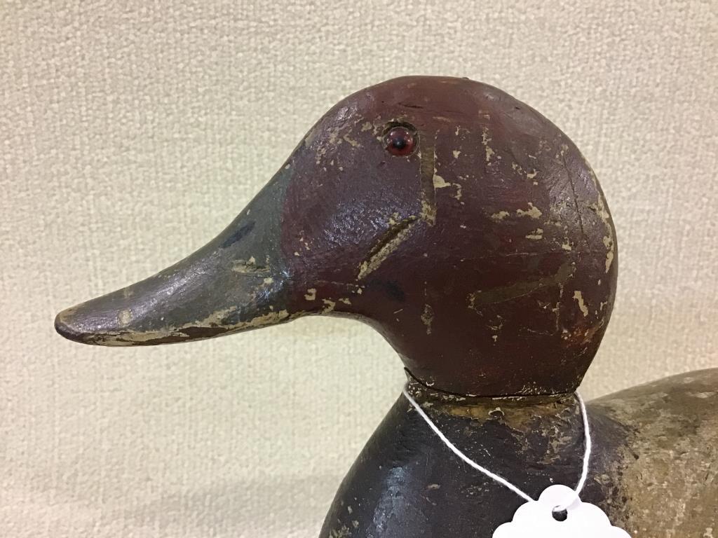 Evans Red Head Decoy (571)