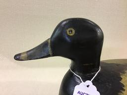 Schoenheider Sr. Ring Neck (Illinois River) Decoy