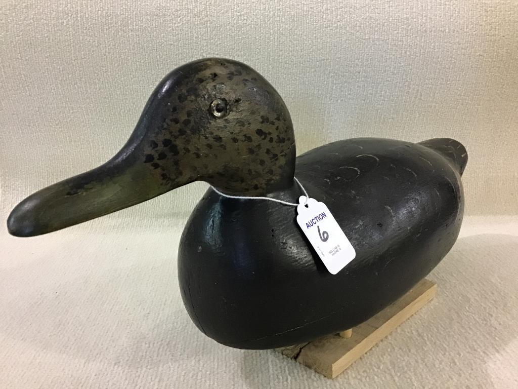 Pratt Black Duck