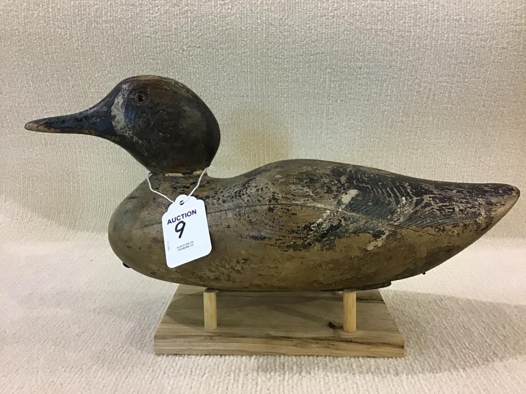 Dodge Teal Decoy