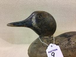 Dodge Teal Decoy