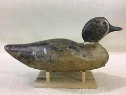 Dodge Teal Decoy