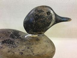 Dodge Teal Decoy