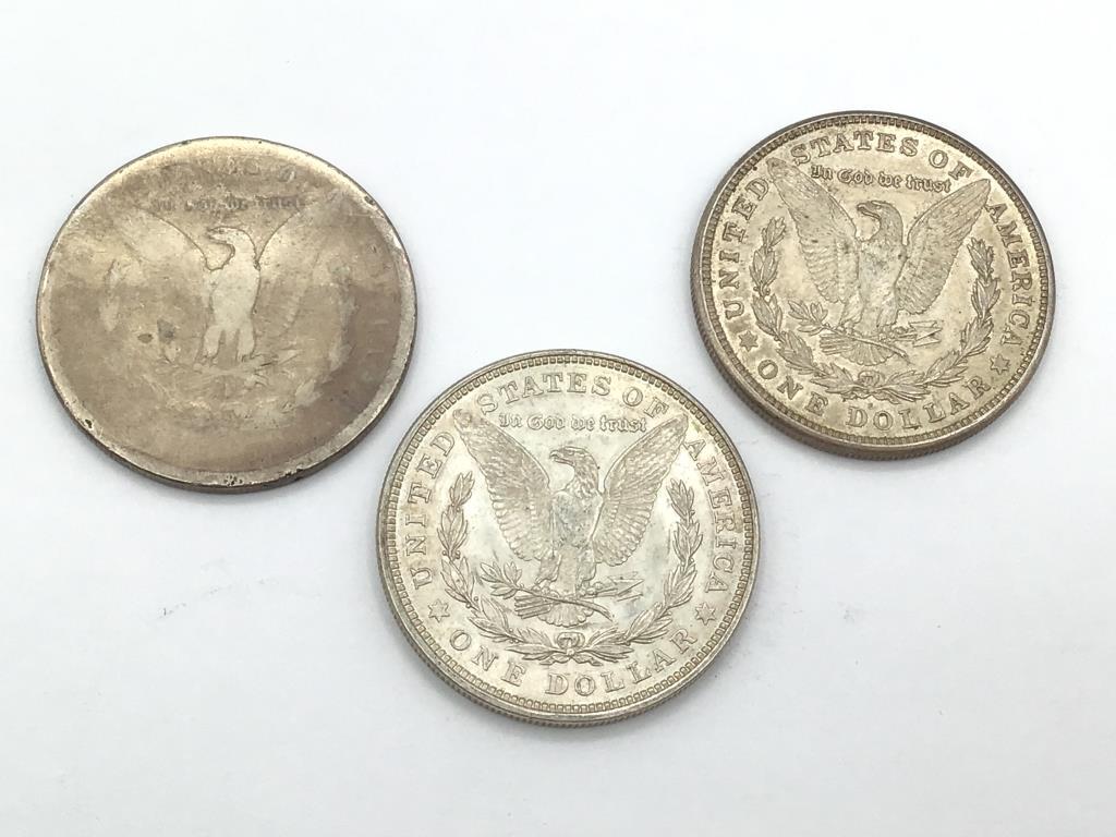 Collection of 7 Morgan Silver Dollars Including