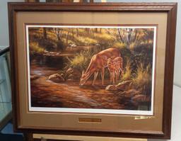 Summer Shadows - Whitetail Deer by R. Millette 319/95033"x27"