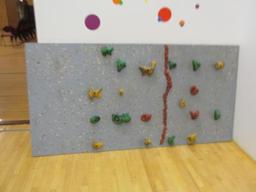 Rock wall set - 3-4'x8' Panels